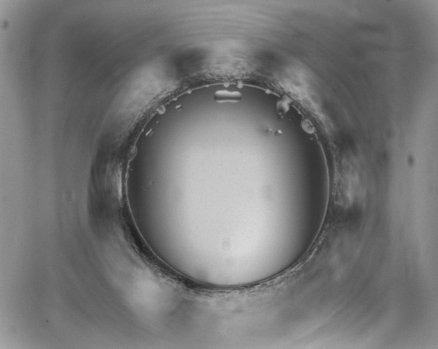 X0000067900021200604201346