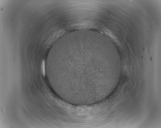 X0000067900022200604201346