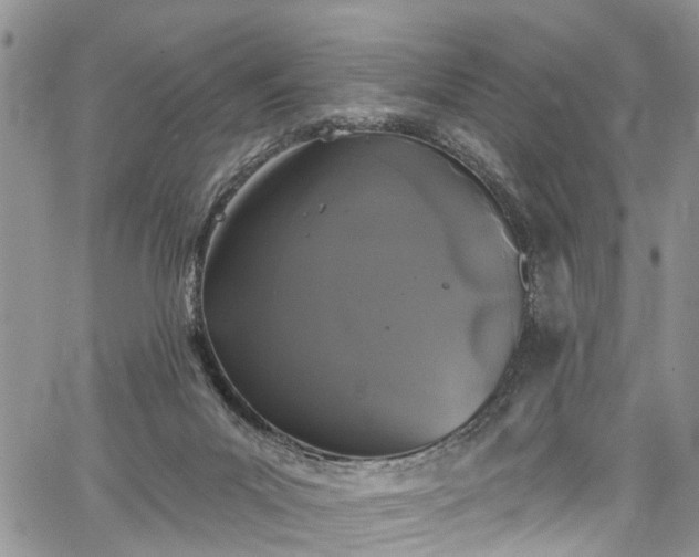 X0000067900023200604201346