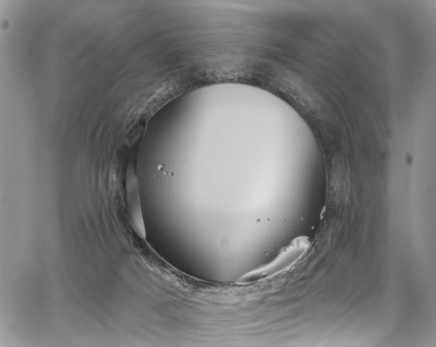 X0000067900025200604201346