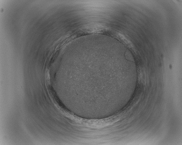 X0000067900026200604201346