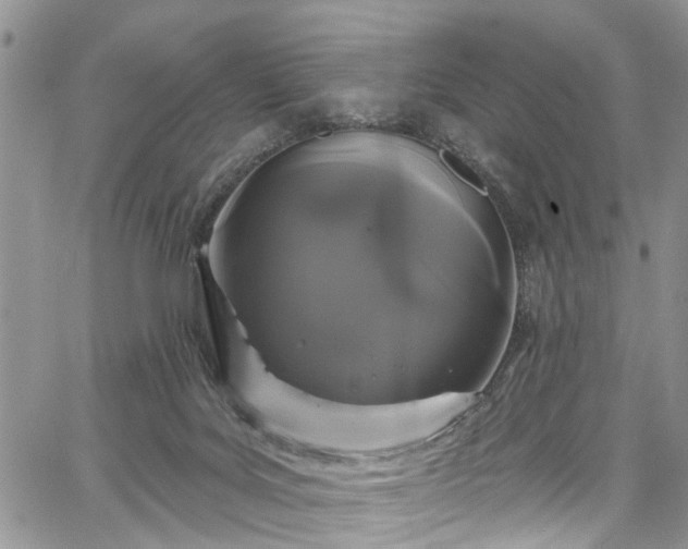 X0000067900027200604201346