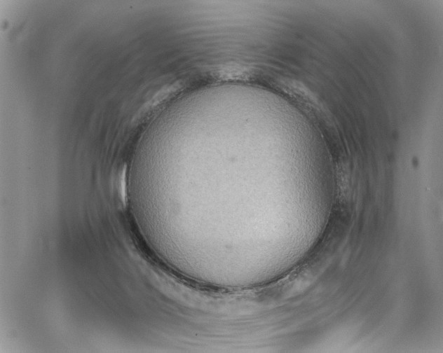 X0000067900028200604201346