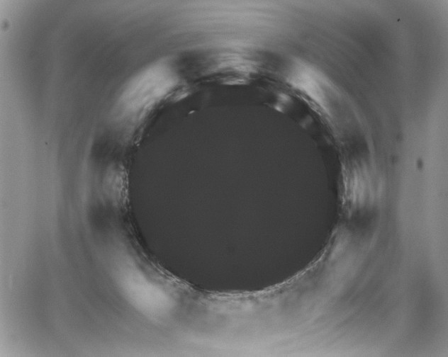 X0000067900029200604201346