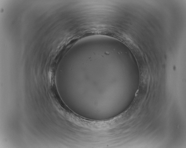 X0000067900031200604201346