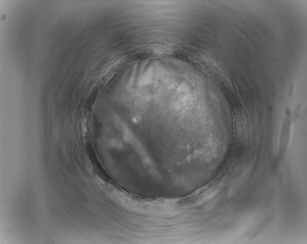 X0000067900032200604201346