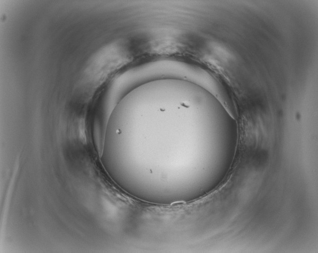 X0000067900033200604201346