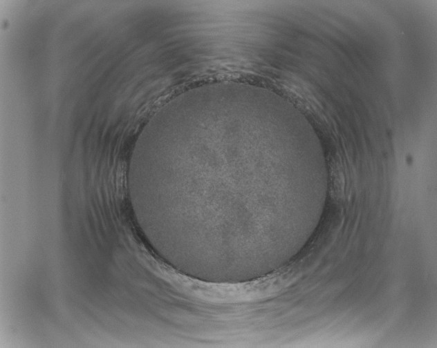 X0000067900034200604201346