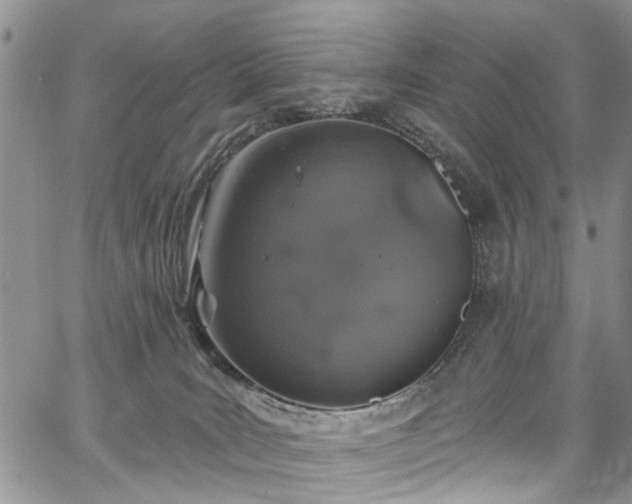 X0000067900035200604201346