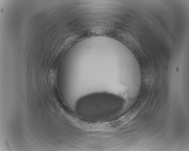 X0000067900036200604201346