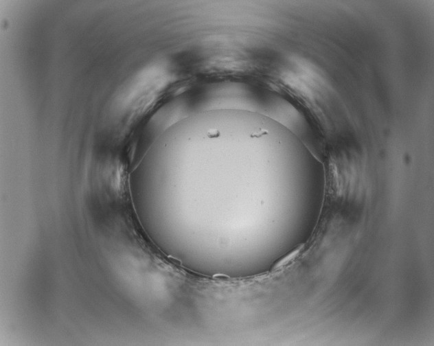 X0000067900037200604201346