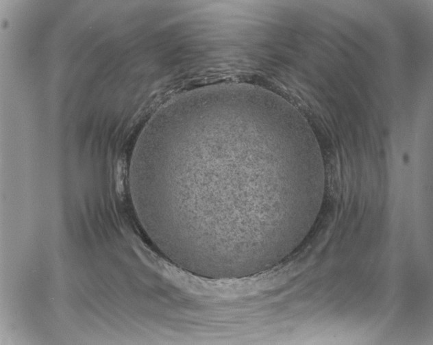 X0000067900038200604201346