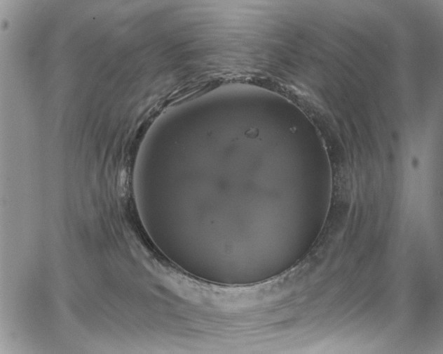 X0000067900039200604201346