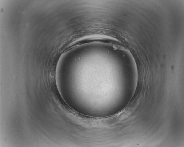 X0000067900040200604201346