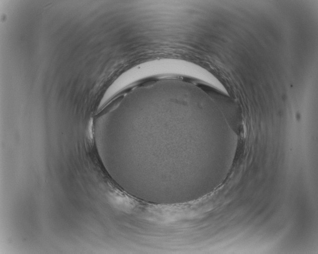 X0000067900041200604201346