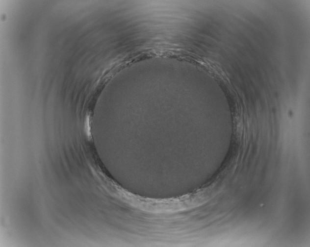 X0000067900042200604201346