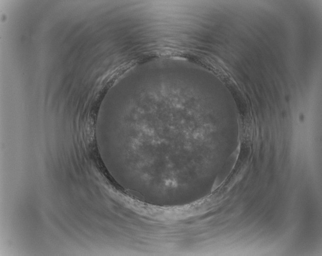 X0000067900043200604201346