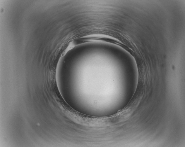 X0000067900044200604201346