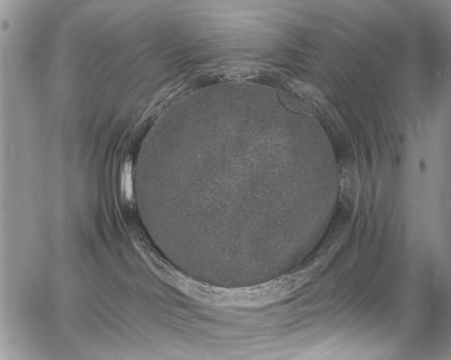 X0000067900046200604201346