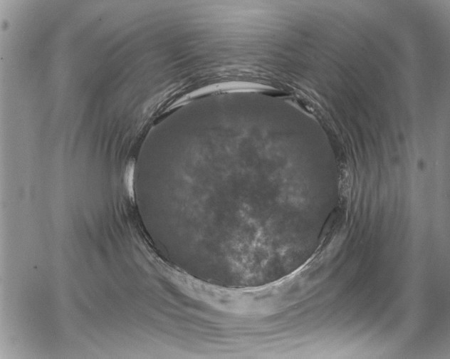 X0000067900047200604201346