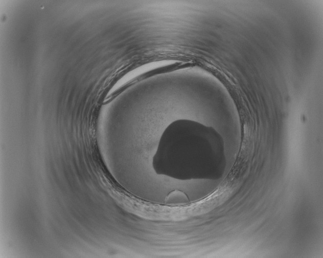 X0000067900048200604201346