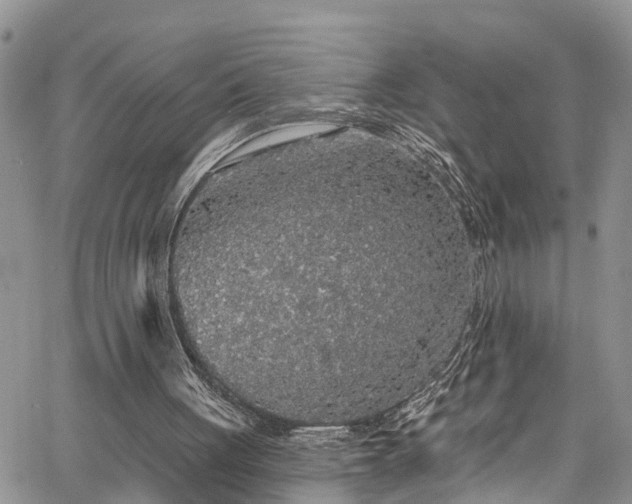 X0000067900051200604201345