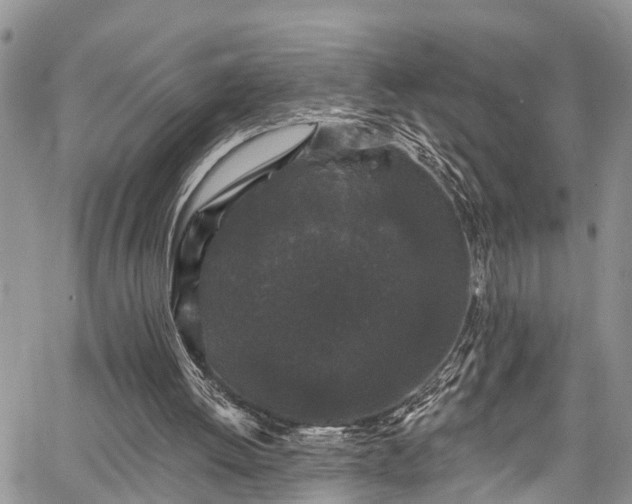 X0000067900052200604201345