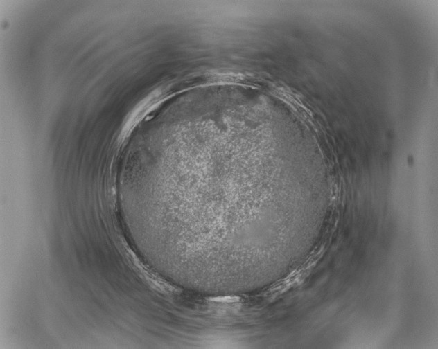 X0000067900053200604201345