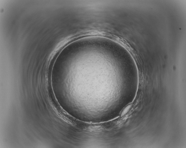 X0000067900055200604201345