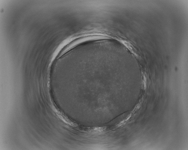 X0000067900056200604201345