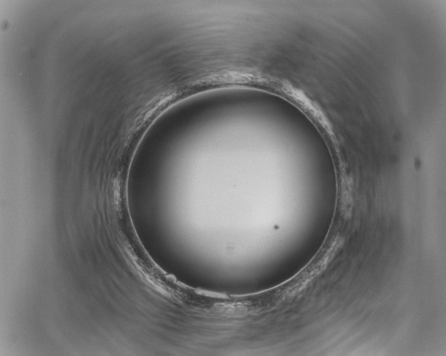 X0000067900057200604201345