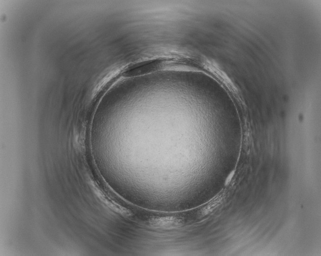 X0000067900058200604201345