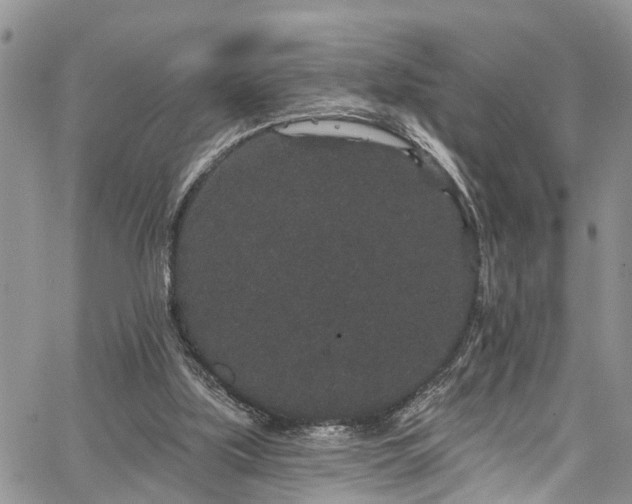 X0000067900059200604201345