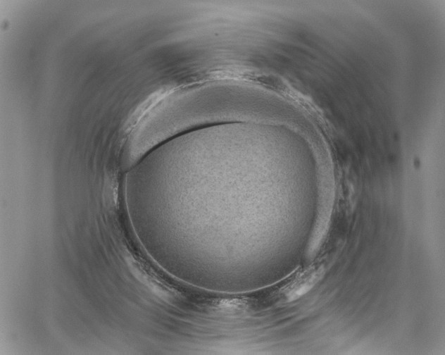 X0000067900060200604201345