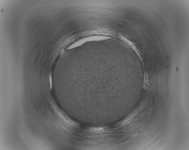 X0000067900061200604201345