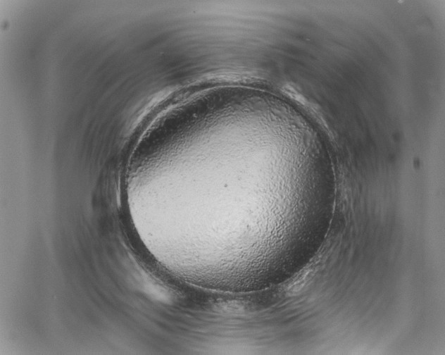 X0000067900062200604201345