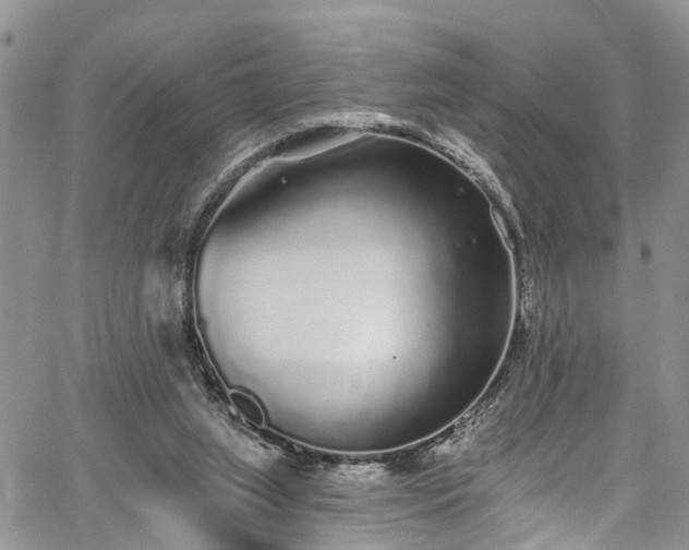 X0000067900063200604201345