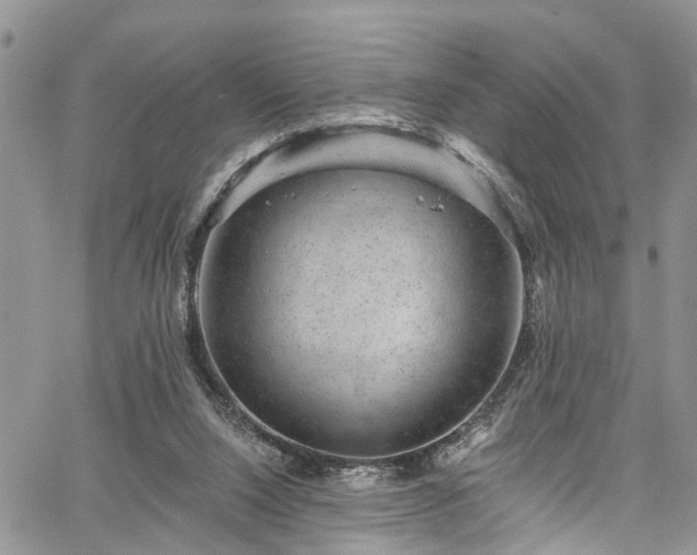 X0000067900064200604201345