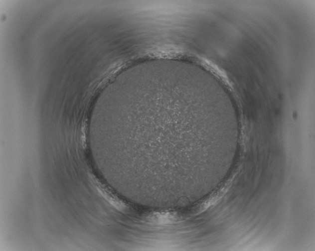 X0000067900065200604201345