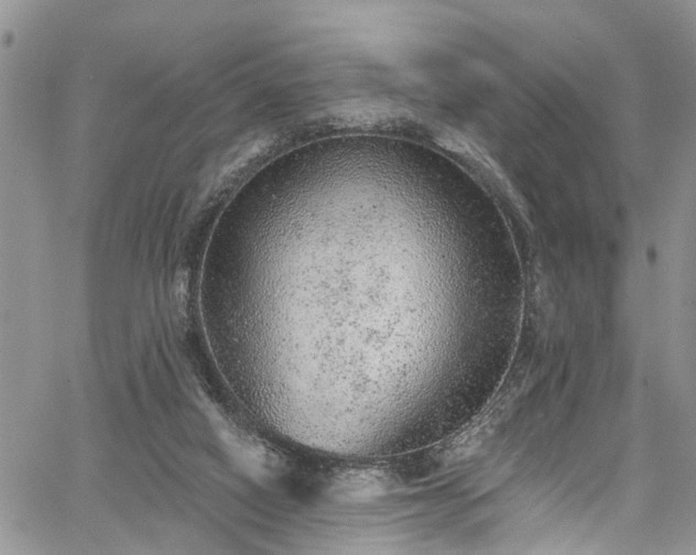 X0000067900066200604201345