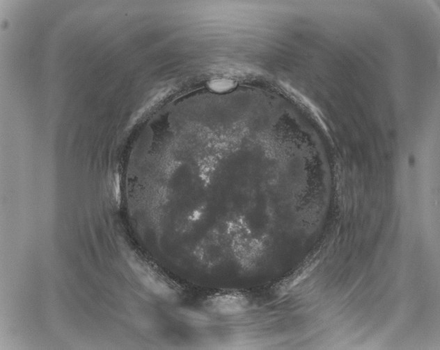 X0000067900067200604201345