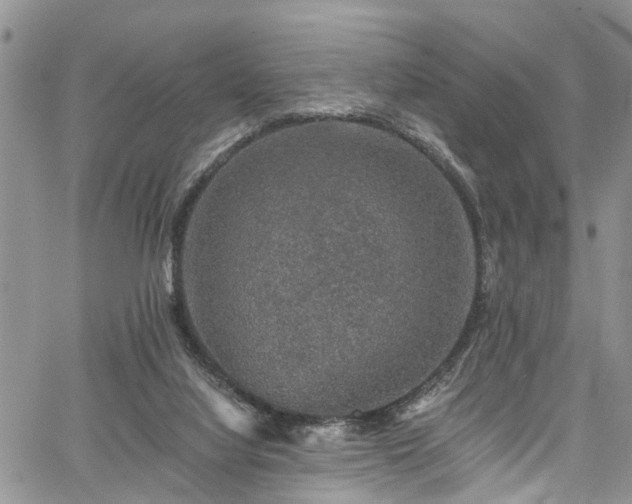 X0000067900068200604201345