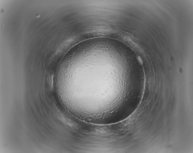 X0000067900070200604201345