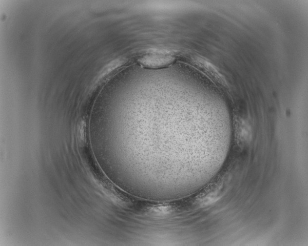 X0000067900071200604201345