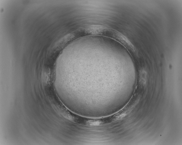 X0000067900073200604201345