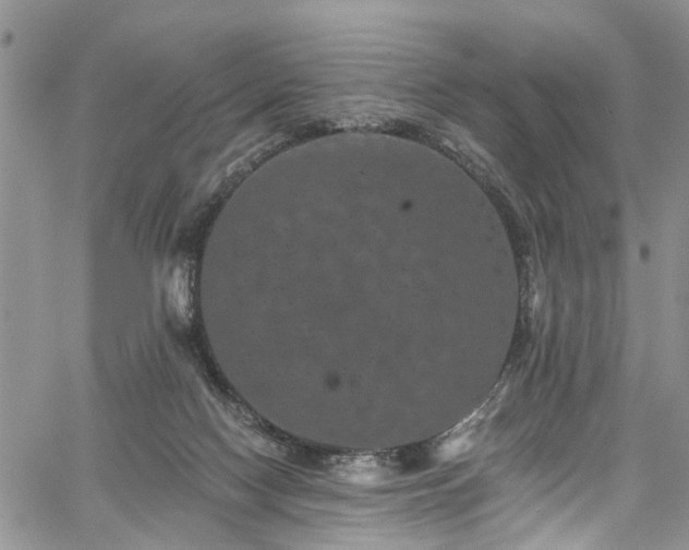 X0000067900074200604201345