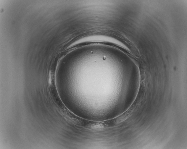 X0000067900075200604201345