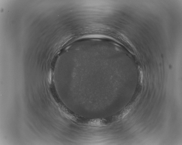 X0000067900076200604201346