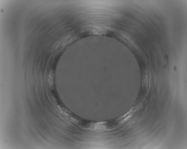 X0000067900078200604201346