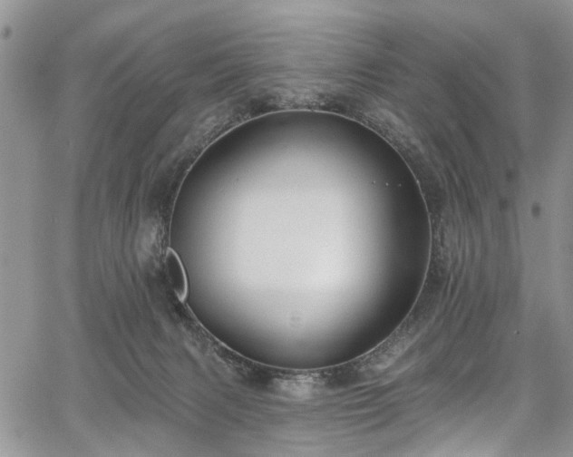 X0000067900079200604201346